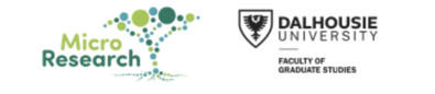 Micro Research Institute